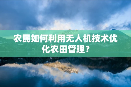 农民如何利用无人机技术优化农田管理？