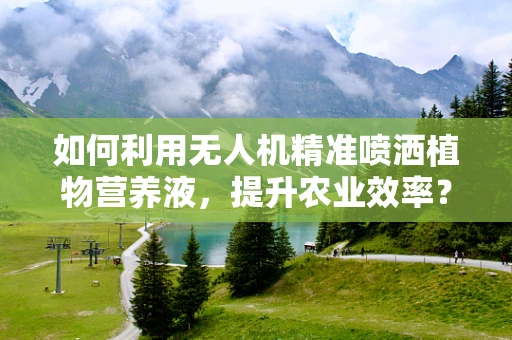 如何利用无人机精准喷洒植物营养液，提升农业效率？
