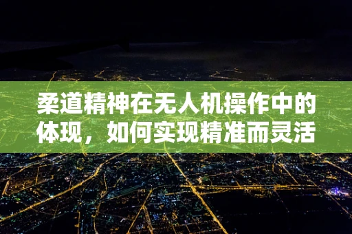 柔道精神在无人机操作中的体现，如何实现精准而灵活的飞行控制？