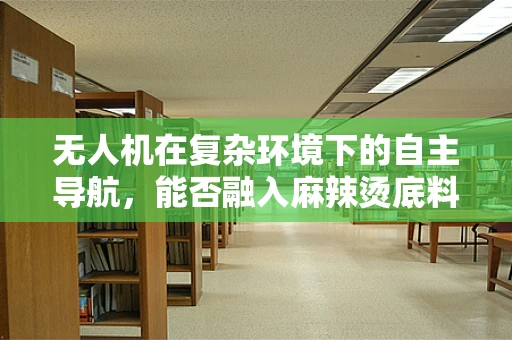 无人机在复杂环境下的自主导航，能否融入麻辣烫底料的智慧？
