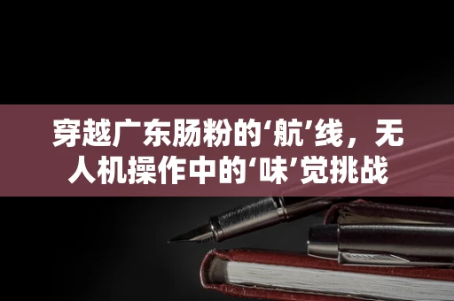 穿越广东肠粉的‘航’线，无人机操作中的‘味’觉挑战