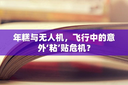 年糕与无人机，飞行中的意外‘粘’贴危机？
