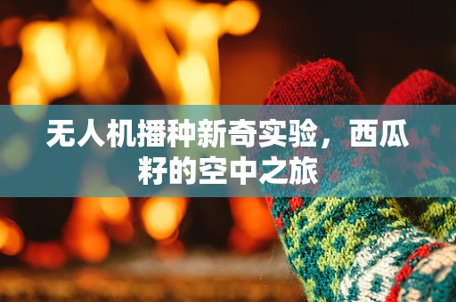 无人机播种新奇实验，西瓜籽的空中之旅