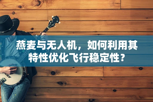 燕麦与无人机，如何利用其特性优化飞行稳定性？
