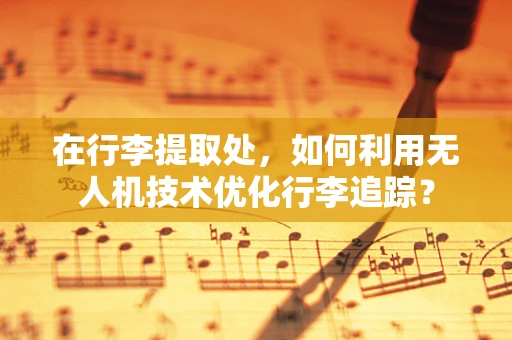 在行李提取处，如何利用无人机技术优化行李追踪？