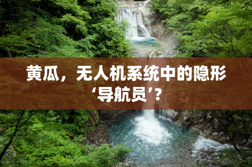 黄瓜，无人机系统中的隐形‘导航员’？