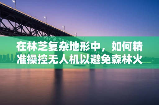在林芝复杂地形中，如何精准操控无人机以避免森林火灾隐患？