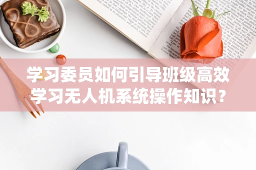 学习委员如何引导班级高效学习无人机系统操作知识？