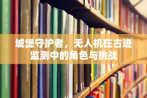 城堡守护者，无人机在古迹监测中的角色与挑战