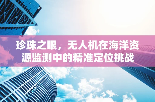 珍珠之眼，无人机在海洋资源监测中的精准定位挑战