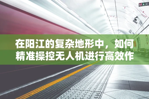 在阳江的复杂地形中，如何精准操控无人机进行高效作业？