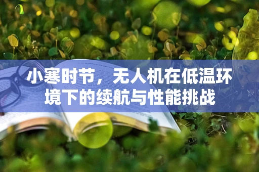 小寒时节，无人机在低温环境下的续航与性能挑战