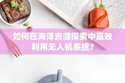 如何在海洋资源探索中高效利用无人机系统？