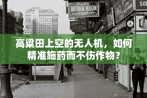 高粱田上空的无人机，如何精准施药而不伤作物？