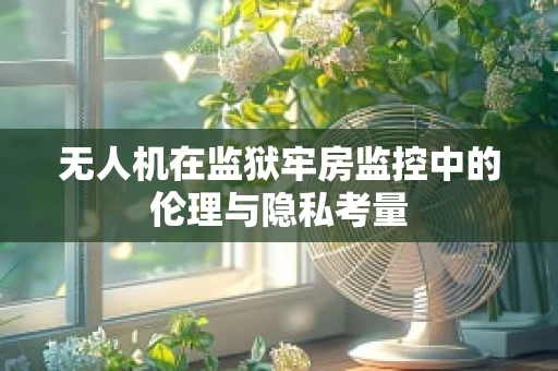 无人机在监狱牢房监控中的伦理与隐私考量