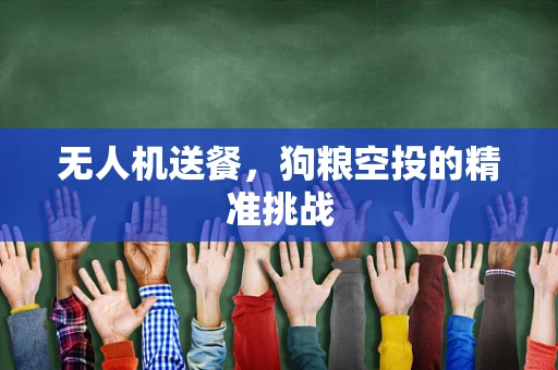无人机送餐，狗粮空投的精准挑战