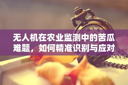 无人机在农业监测中的苦瓜难题，如何精准识别与应对？