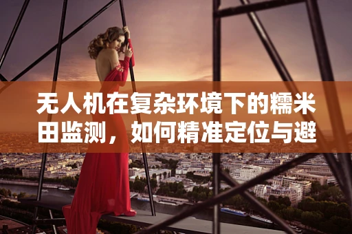 无人机在复杂环境下的糯米田监测，如何精准定位与避障？