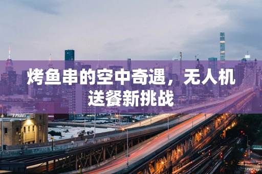 烤鱼串的空中奇遇，无人机送餐新挑战