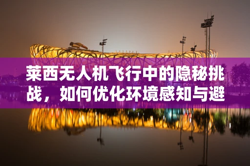 莱西无人机飞行中的隐秘挑战，如何优化环境感知与避障策略？