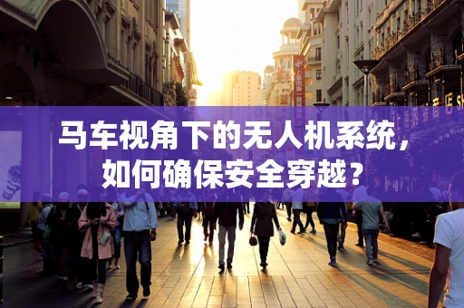 马车视角下的无人机系统，如何确保安全穿越？