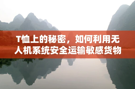 T恤上的秘密，如何利用无人机系统安全运输敏感货物？