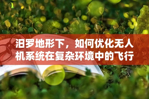 汨罗地形下，如何优化无人机系统在复杂环境中的飞行稳定性？