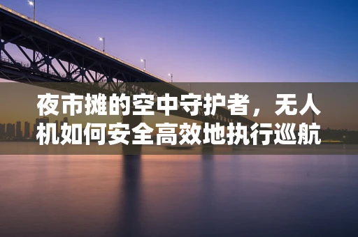 夜市摊的空中守护者，无人机如何安全高效地执行巡航任务？
