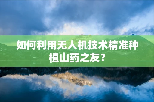 如何利用无人机技术精准种植山药之友？