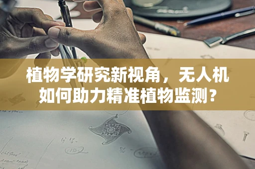 植物学研究新视角，无人机如何助力精准植物监测？