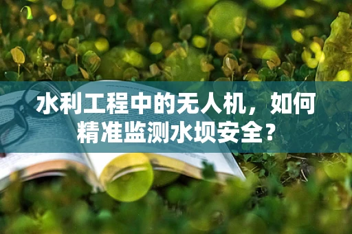 水利工程中的无人机，如何精准监测水坝安全？
