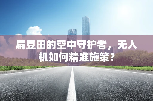 扁豆田的空中守护者，无人机如何精准施策？
