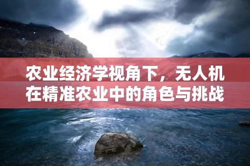 农业经济学视角下，无人机在精准农业中的角色与挑战