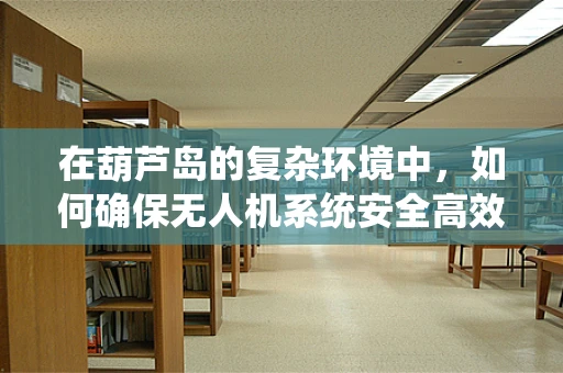 在葫芦岛的复杂环境中，如何确保无人机系统安全高效地执行任务？