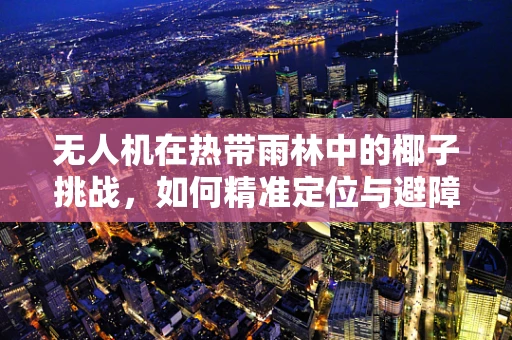 无人机在热带雨林中的椰子挑战，如何精准定位与避障？