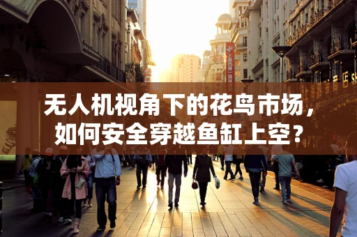 无人机视角下的花鸟市场，如何安全穿越鱼缸上空？