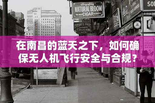 在南昌的蓝天之下，如何确保无人机飞行安全与合规？