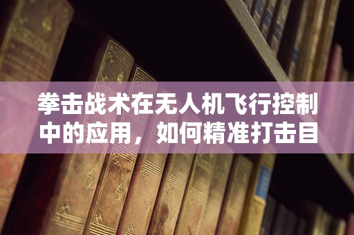 拳击战术在无人机飞行控制中的应用，如何精准打击目标？