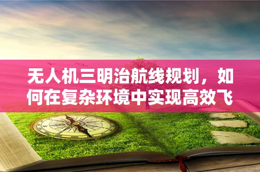 无人机三明治航线规划，如何在复杂环境中实现高效飞行？