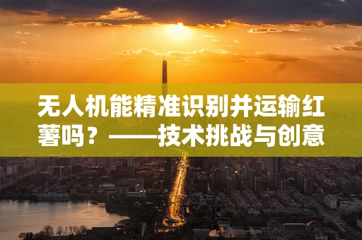 无人机能精准识别并运输红薯吗？——技术挑战与创意应用