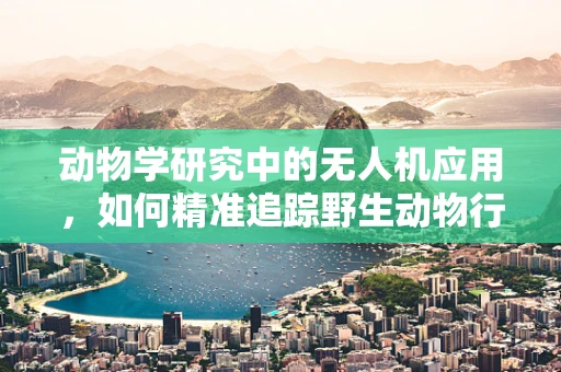 动物学研究中的无人机应用，如何精准追踪野生动物行为？