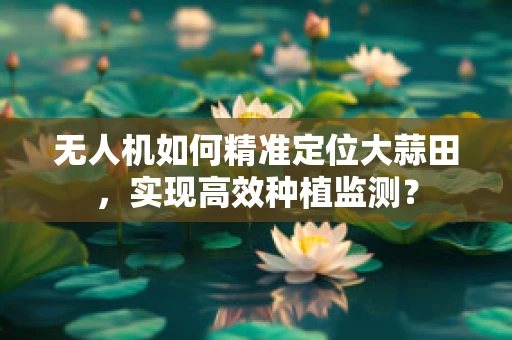 无人机如何精准定位大蒜田，实现高效种植监测？
