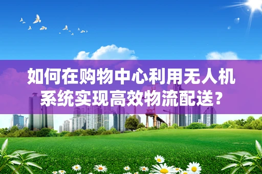 如何在购物中心利用无人机系统实现高效物流配送？