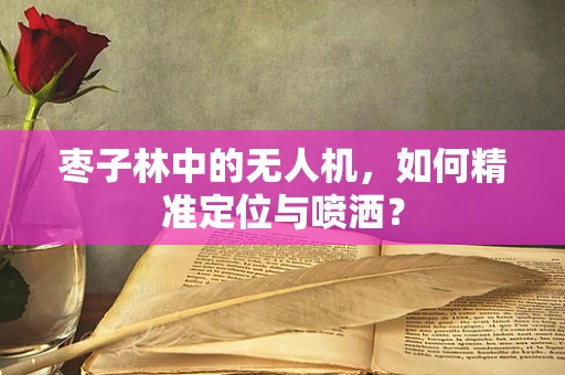 枣子林中的无人机，如何精准定位与喷洒？