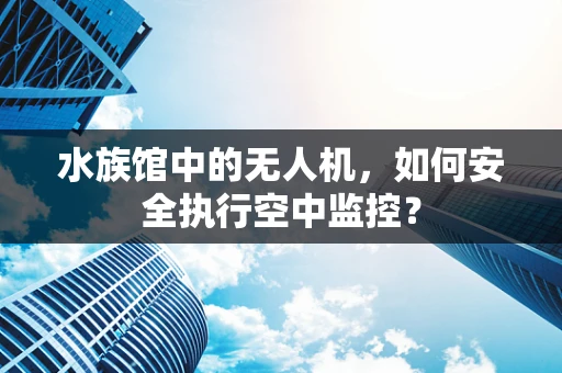水族馆中的无人机，如何安全执行空中监控？