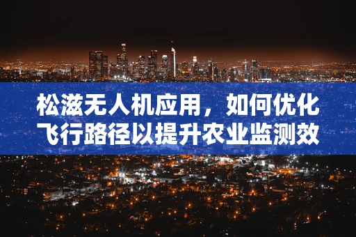 松滋无人机应用，如何优化飞行路径以提升农业监测效率？