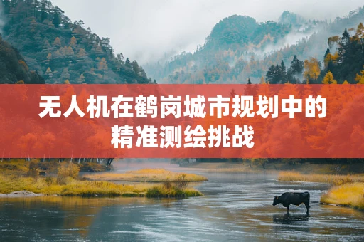 无人机在鹤岗城市规划中的精准测绘挑战