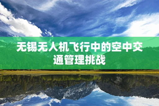 无锡无人机飞行中的空中交通管理挑战