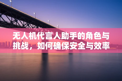 无人机代言人助手的角色与挑战，如何确保安全与效率的完美结合？