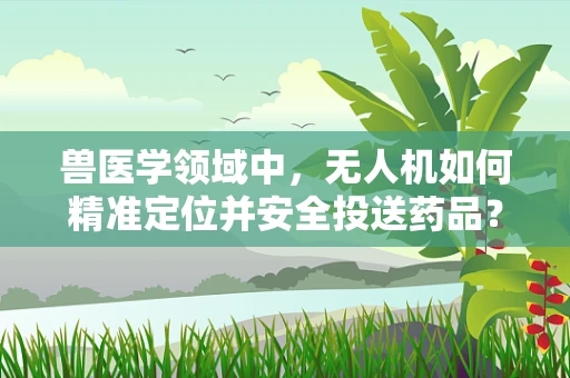 兽医学领域中，无人机如何精准定位并安全投送药品？